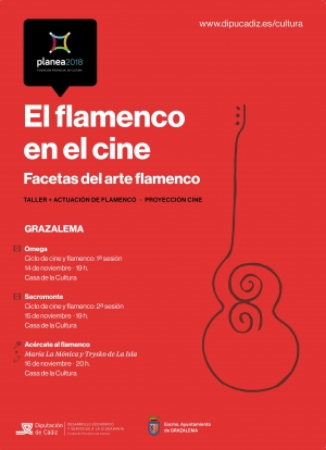 El flamenco en el cine. Facetas del arte flamenco