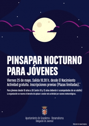 Pinsapar nocturno