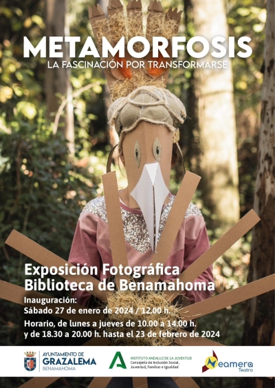 Metamorfosis. Exposición.