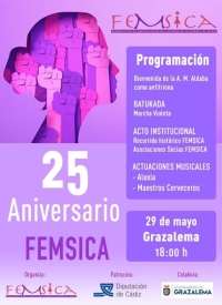 25 Aniversario Femsica