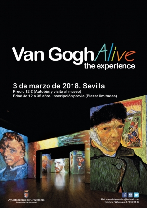 Van Gogh Alive the experience