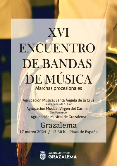 XVI Encuentro de Bandas de Música.