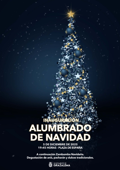 Inauguración del alumbrado de Navidad 2025