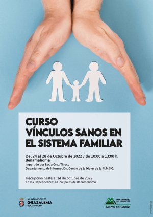 Curso - Vínculos sanos en el sistema familiar.