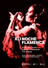 XLI Noche Flamenca de Grazalema