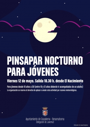 Pinsapar nocturno